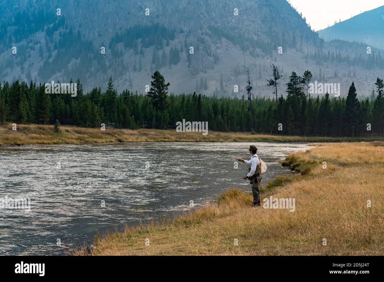 Un pêcheur de mouche sur la rivière Madison dans le parc national de Yellowstone, Wyoming. Banque D'Images