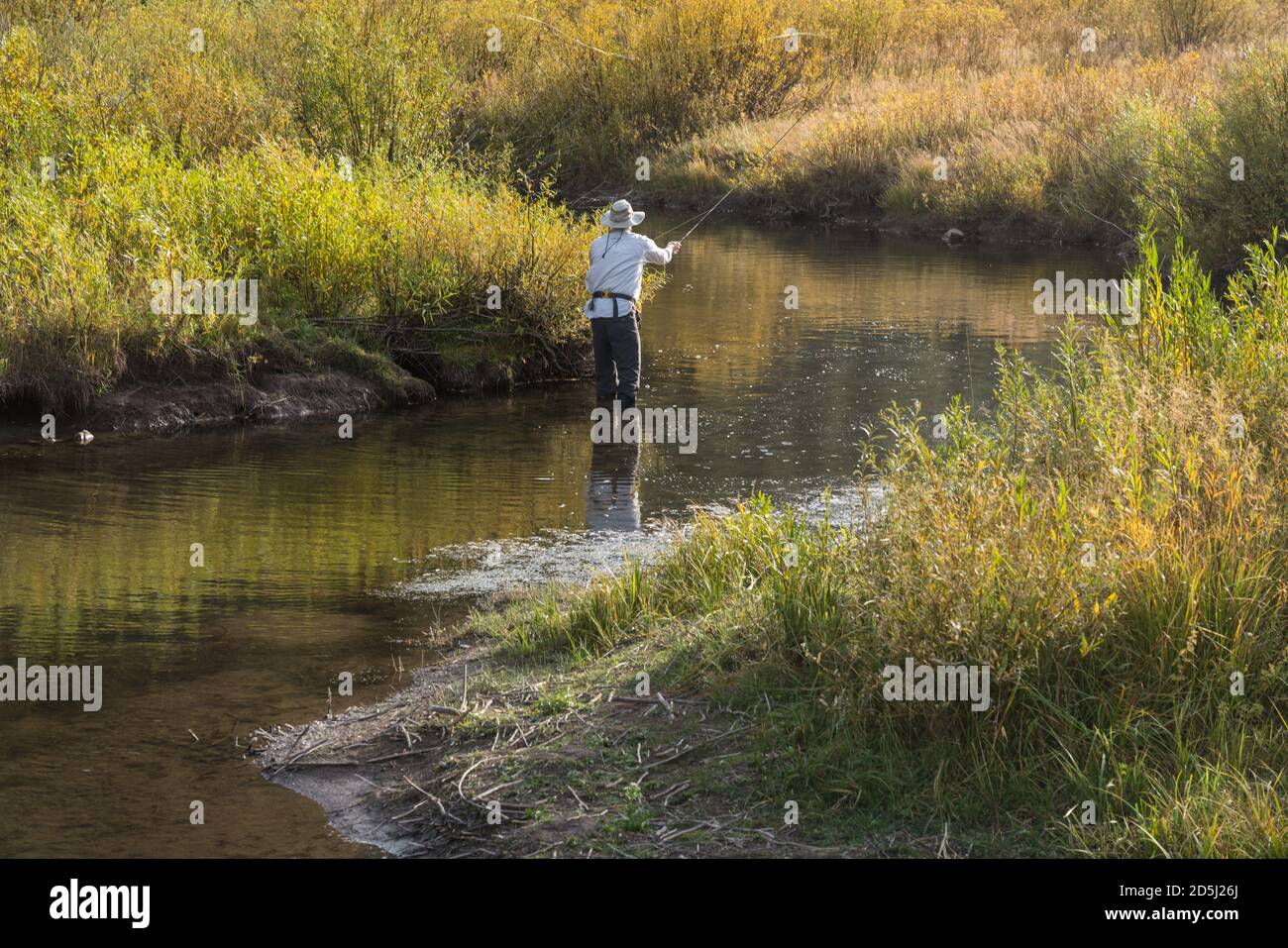 Un pêcheur pêche à la mouche sur Tin Cup Creek près de Wayan, Idaho. Banque D'Images