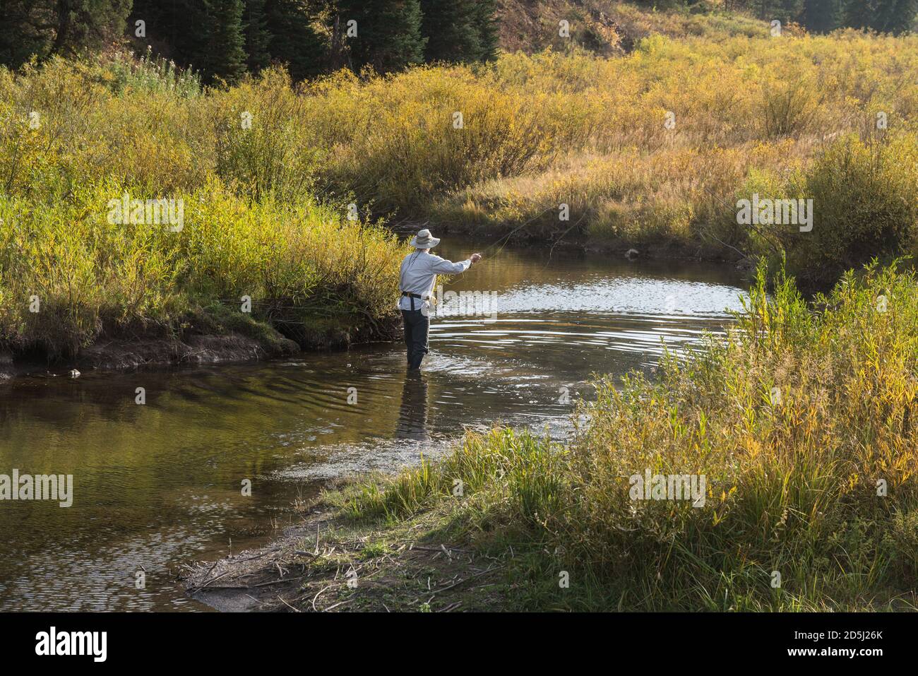 Un pêcheur pêche à la mouche sur Tin Cup Creek près de Wayan, Idaho. Banque D'Images