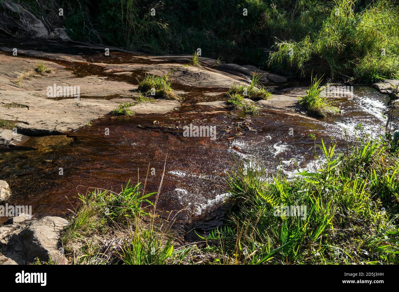 Eau cristalline qui coule sur les formations rocheuses de la cascade de Mato Limpo entourée d'une végétation verte. Cunha, Sao Paulo - Brésil. Banque D'Images