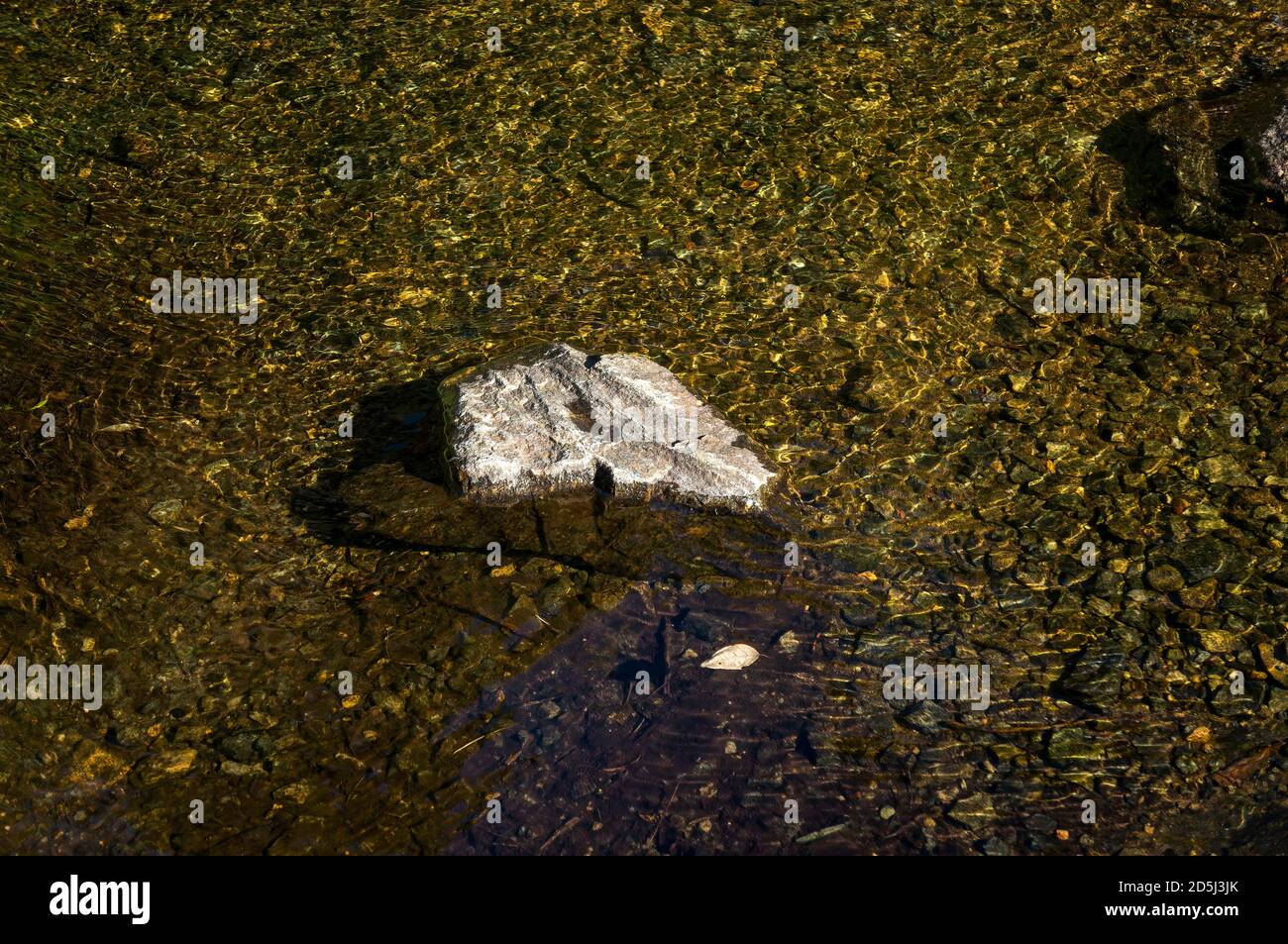 De l'eau cristalline s'écoulant autour d'une roche au milieu du cours d'eau de la cascade de Mato Limpo. Cascade à Cunha, Sao Paulo - Brésil. Banque D'Images