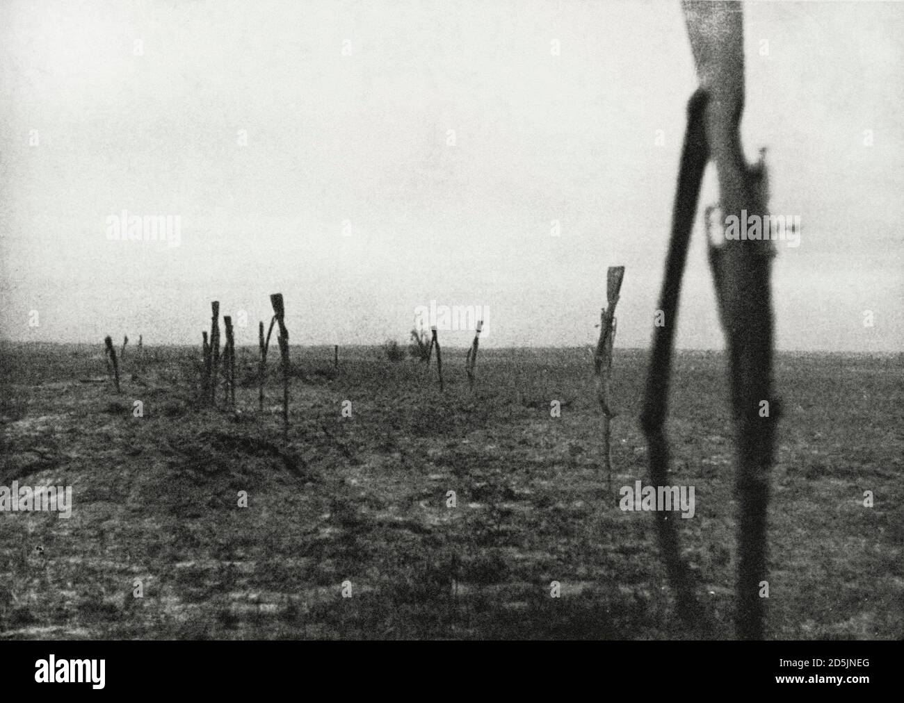 Les fusils Mosin-Nagant des soldats de l'Armée rouge, qui se sont rendus à la Wehrmacht nazie, ont coincé les bayonets dans le sol. Blitzkrieg à l'est. 1941 Banque D'Images