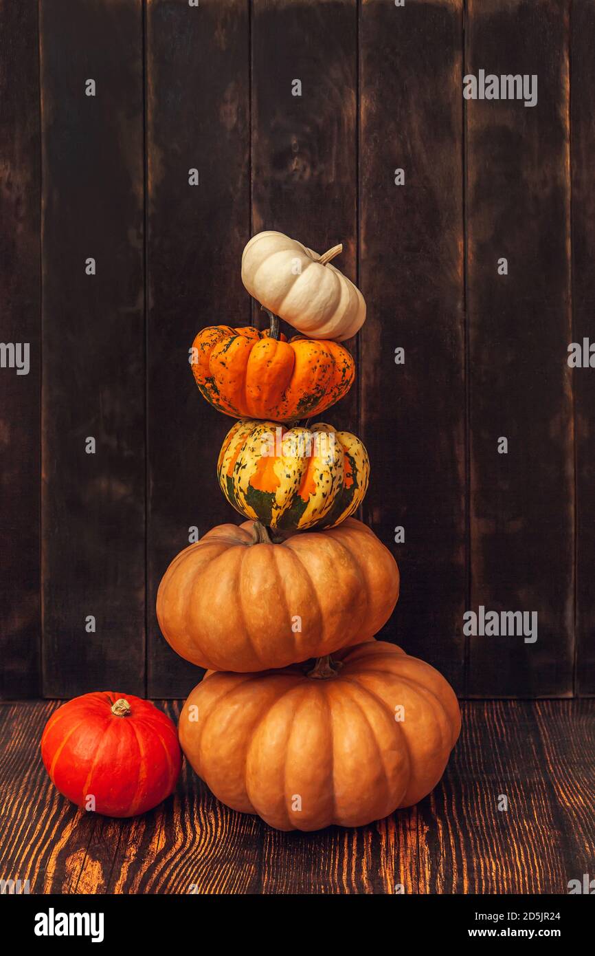 Pyramide de citrouilles sur fond de bois brun. Banque D'Images