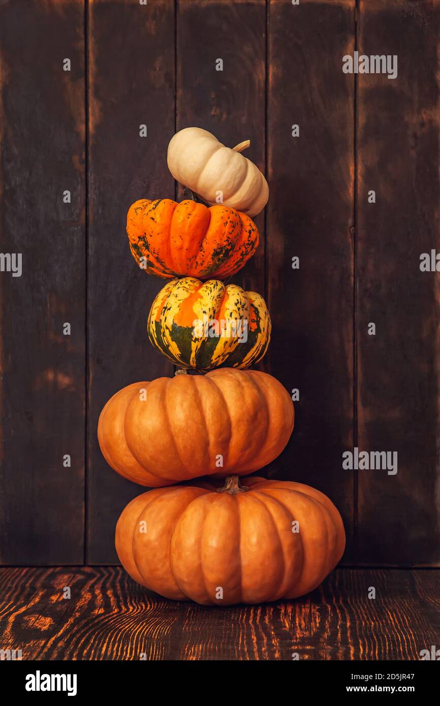 Pyramide de citrouilles sur fond de bois brun. Banque D'Images