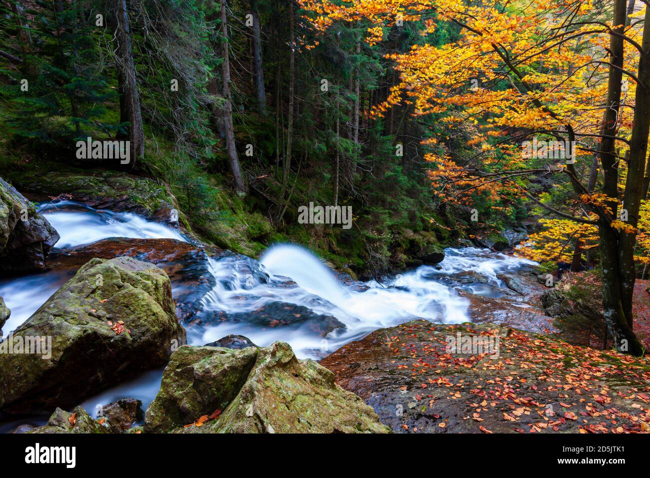 Rißlochfälle Bayerischer Wald im Herbst, Rißloch tombe dans le parc national de la forêt bavaroise à l'automne Banque D'Images