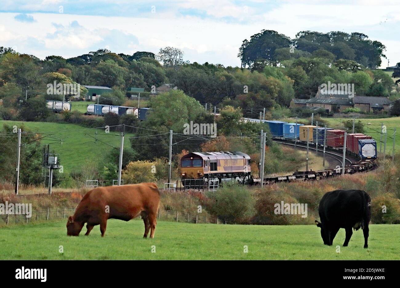 LA locomotive DIESEL DB Cargo 66079 arrondit les virages à Wreay au sud de Carlisle, à la tête du train de conteneurs intermodal sur le chemin de l'Écosse. Banque D'Images