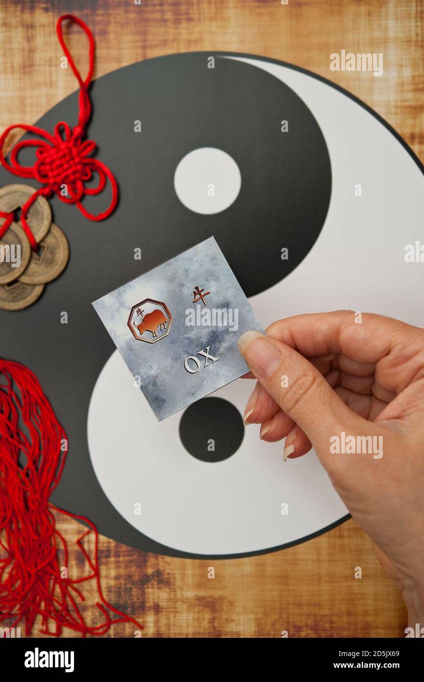 Main tenant une carte avec le signe chinois d'astrologie de Non Banque D'Images