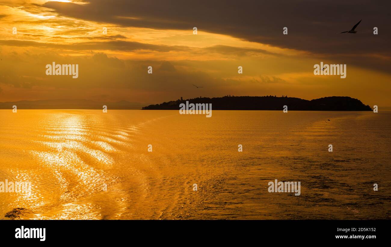 Lumière dorée au coucher du soleil sur le lac Trasimeno et Isola Maggiore (Grande île) en Ombrie, avec des mouettes volantes dans le ciel Banque D'Images Lumière dorée au coucher du soleil sur le lac Trasimeno et Isola Maggiore (Grande île) en Ombrie, avec des mouettes volantes dans le ciel Banque D'Images