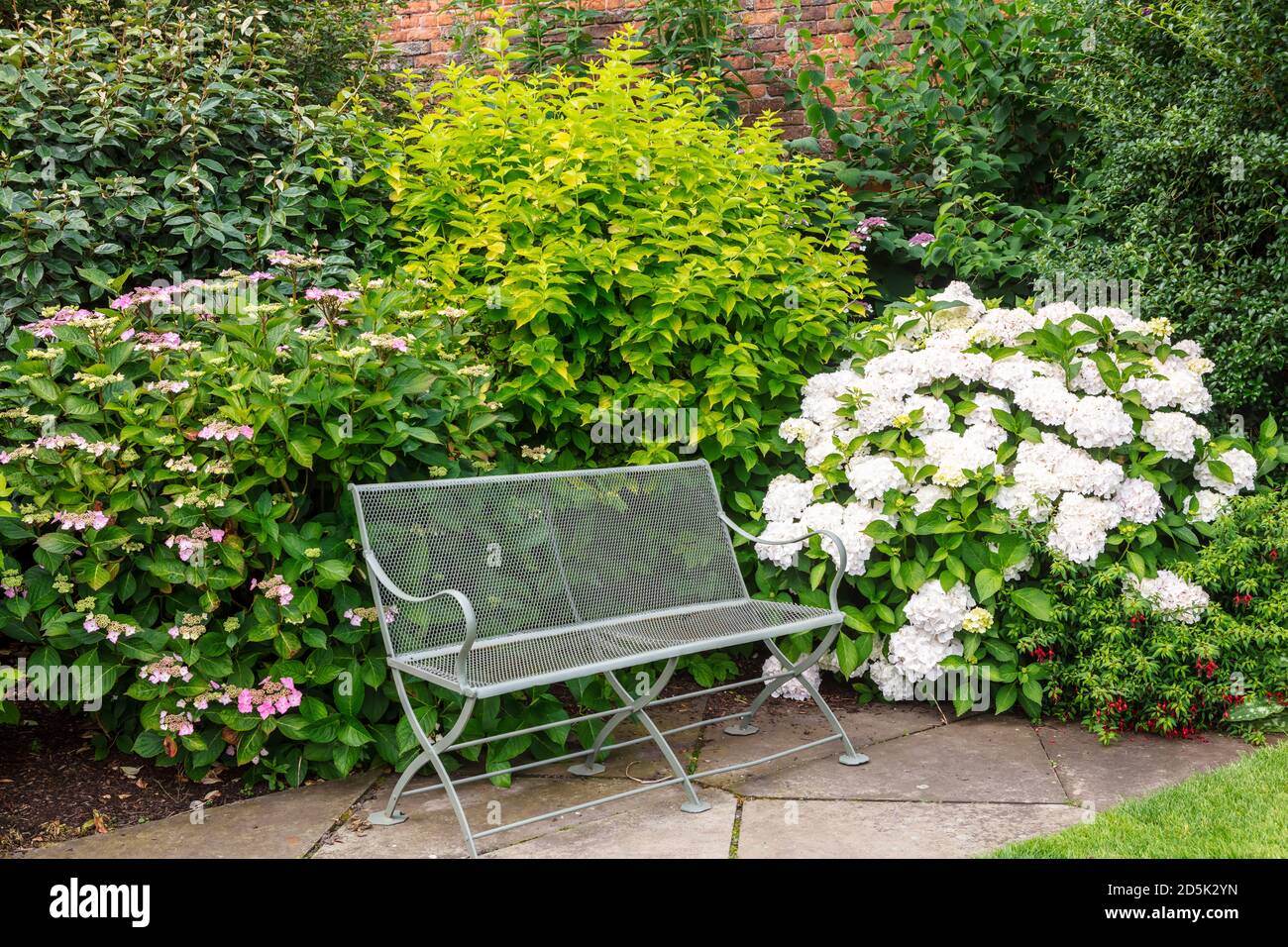 Banc de jardin en métal d'époque dans le coin paisible du jardin à côté des arbustes d'hortensia. Banque D'Images