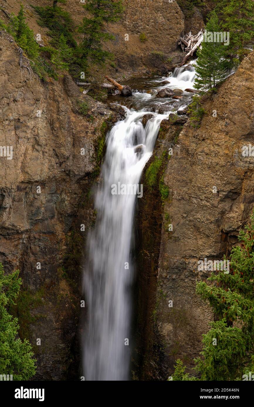 Chute de la tour à Yellowstone River, parc national de Yellowstone, Wyoming, États-Unis Banque D'Images