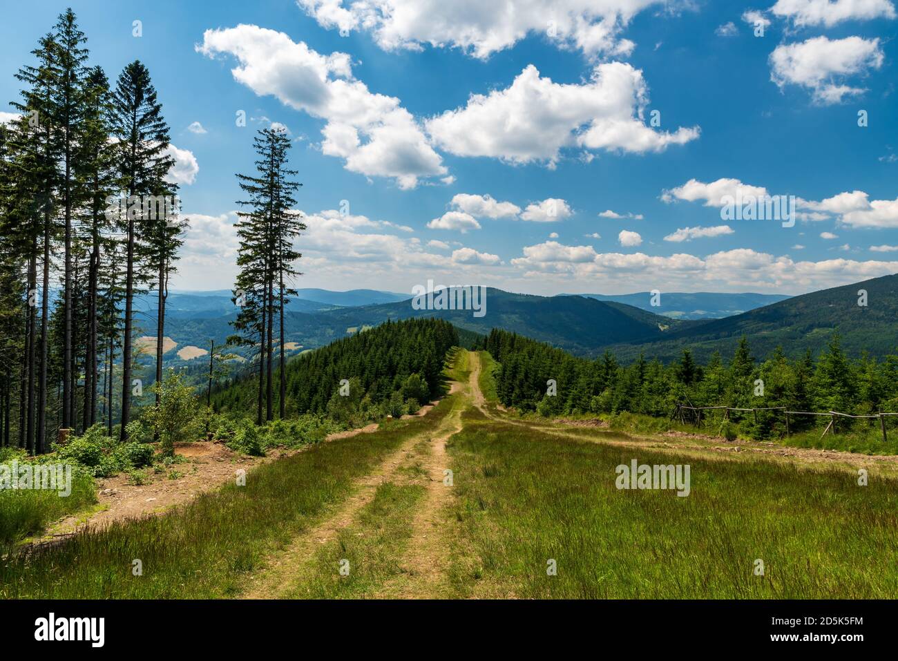 Paysage de montagnes jéeniky pendant la randonnée de Kouty nad Desnou à Dlouhe colline de strane en République tchèque pendant la journée béatiful avec ciel bleu et nuages Banque D'Images