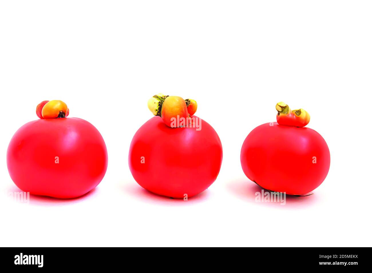 TOMATES FRAÎCHES SUR FOND BLANC, ORIENTATION HORIZONTALE, ISOLÉES Banque D'Images