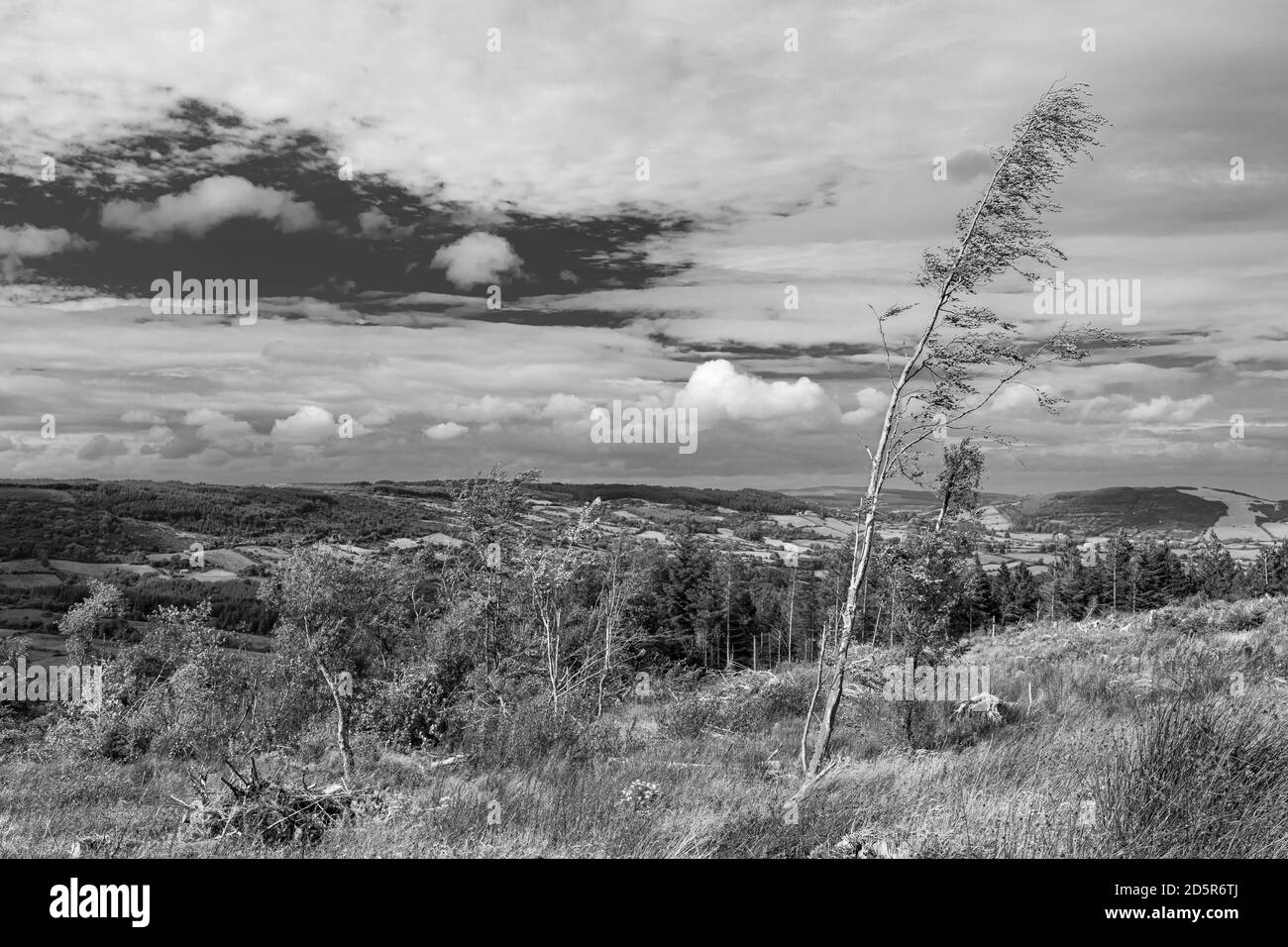 Cumulus spectaculaires au-dessus de Ballycuggarran, comté de Clare, Irlande Banque D'Images