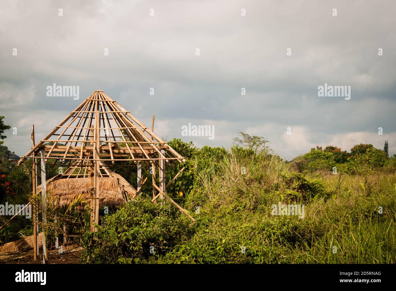 Squelette de maison en bois dans Campuhan Ridge Walk Banque D'Images