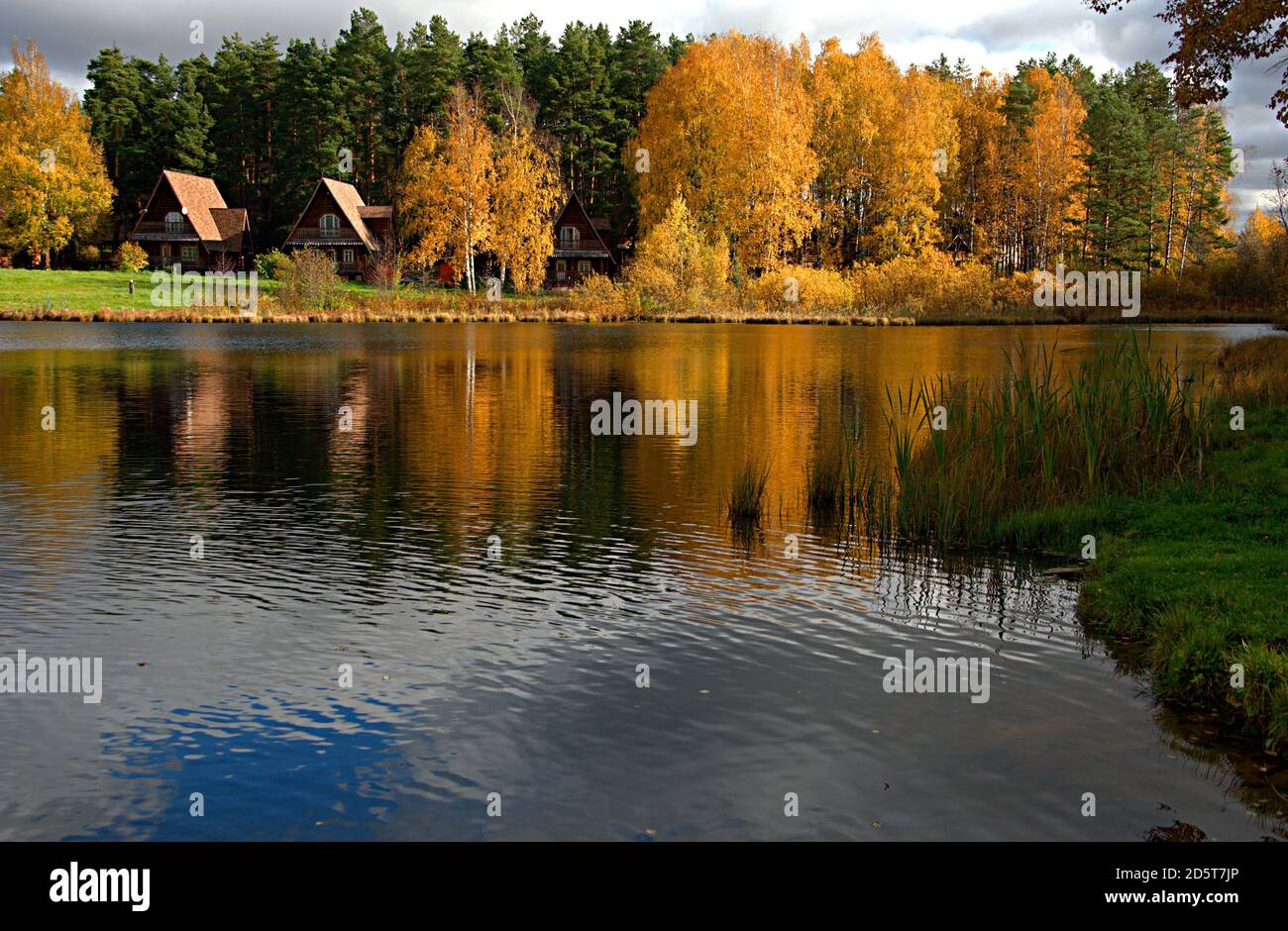 Les arbres d'automne se reflètent dans l'or du lac. Banque D'Images