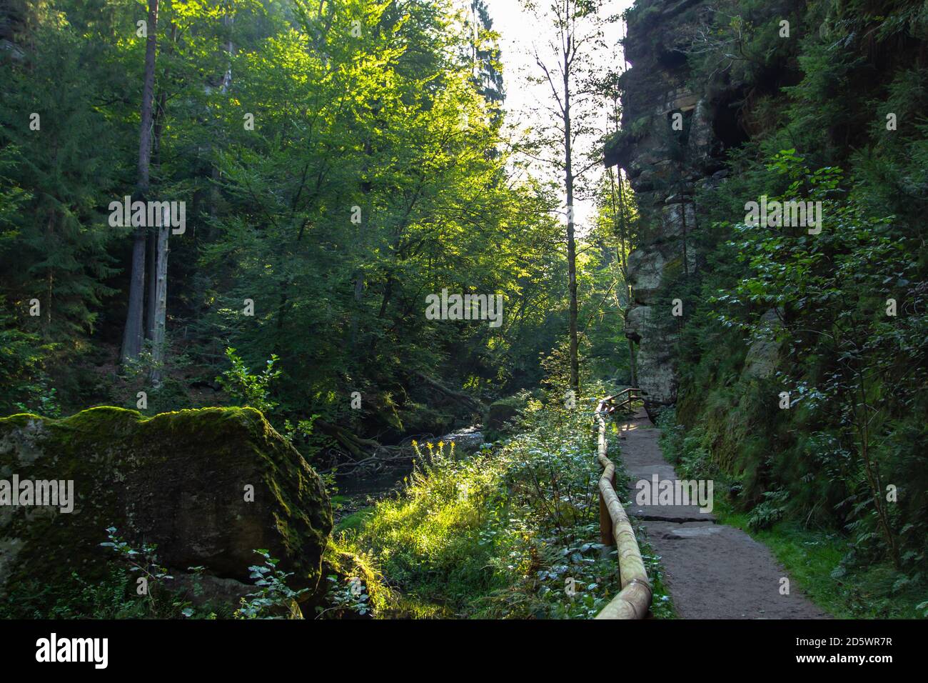 Sentier dans la gorge d'Edmund, parc national de la Suisse de Bohême, République tchèque. Terre de conte de fées.magnifique paysage naturel mythiquement du grès d'Elbe Banque D'Images