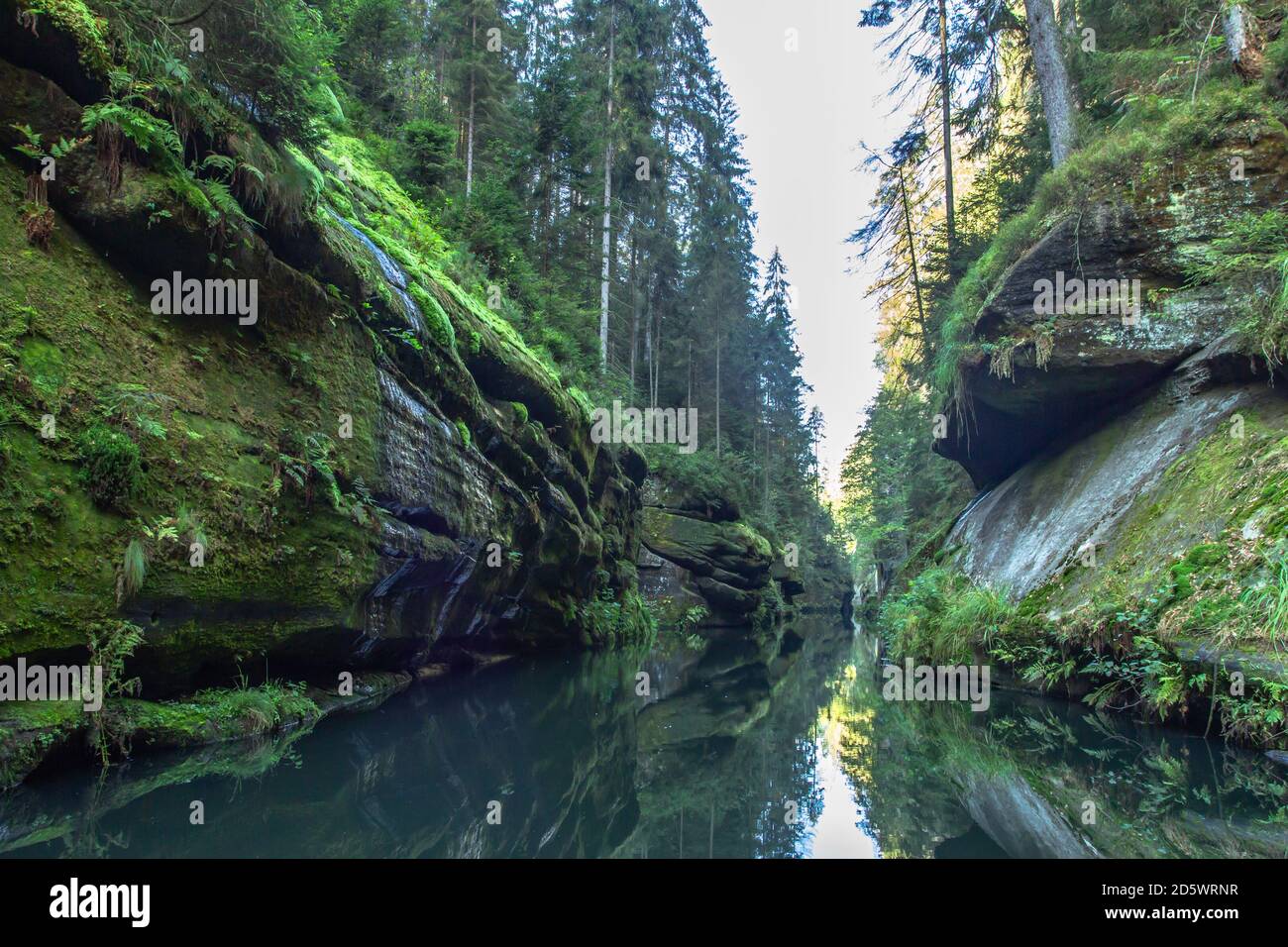 Belle vue sur la gorge d'Edmund dans le parc national de la Suisse de Bohême. Terre de conte de fées.magnifique paysage naturel mythiquement de l'Elbe grès Moun Banque D'Images