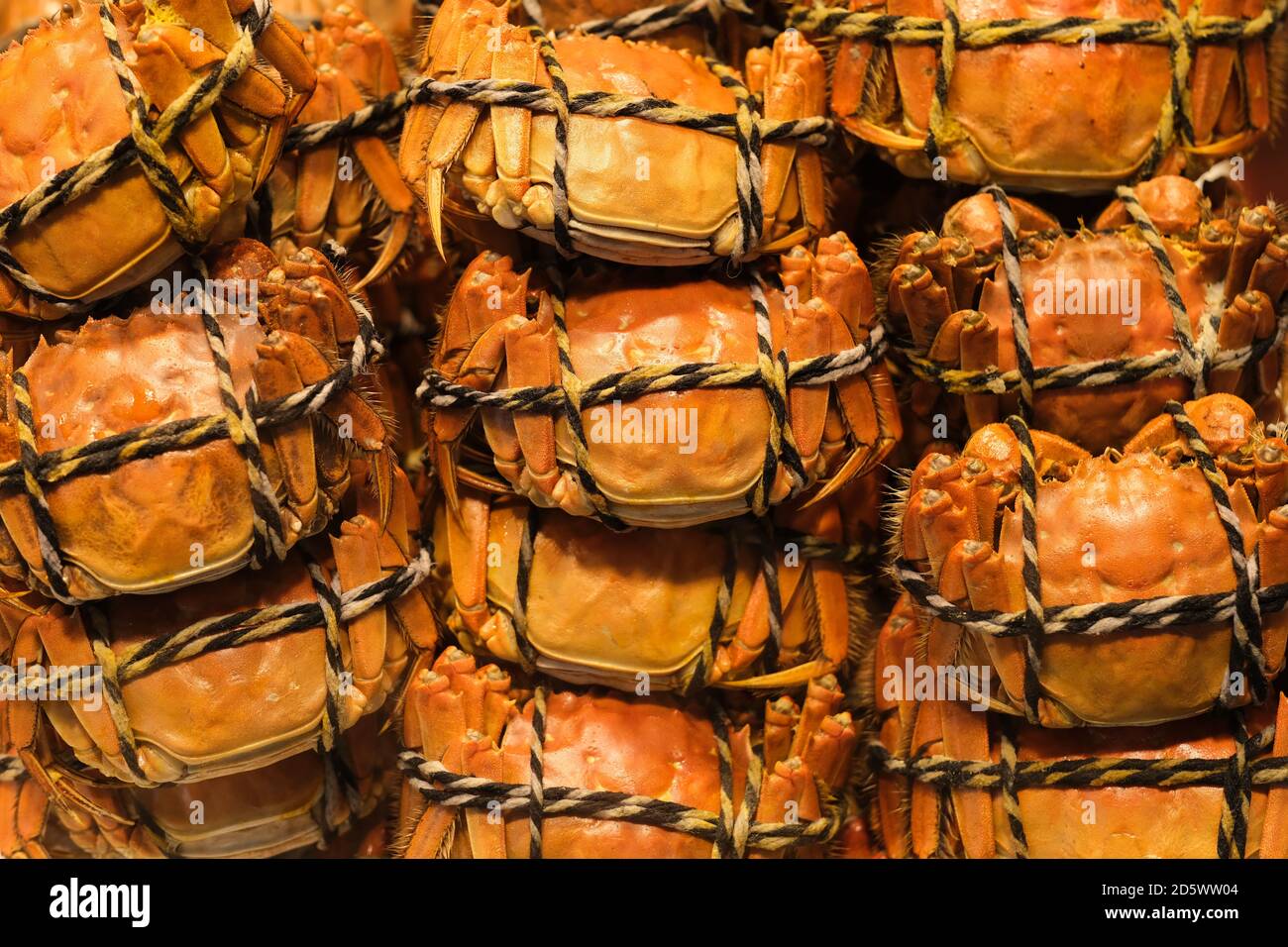 gros plan sur les crabes cuits à la vapeur. En-cas chinois traditionnel Banque D'Images