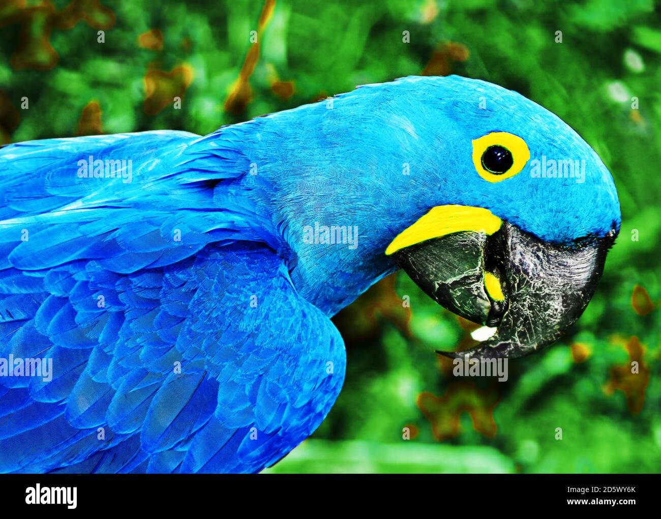 Bleu perroquet la macaw de Spix est assise près de l'arbre Banque D'Images