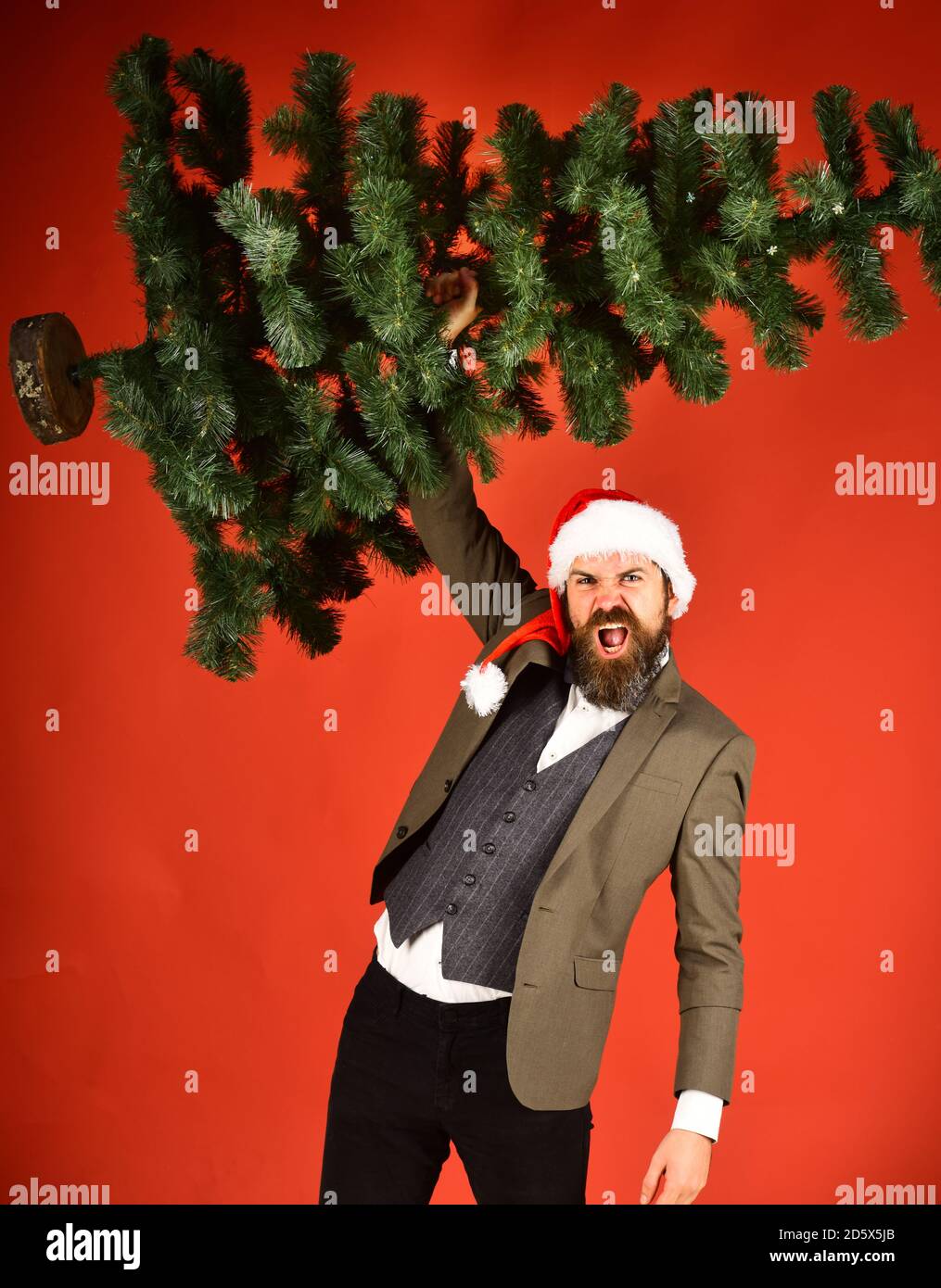 Manager avec barbe se prépare pour Noël. Concept d'affaires et de vacances d'hiver. Homme en costume élégant et chapeau de père Noël sur fond rouge. Un homme d'affaires au visage déchaînant tient un arbre de Noël chauve. Banque D'Images