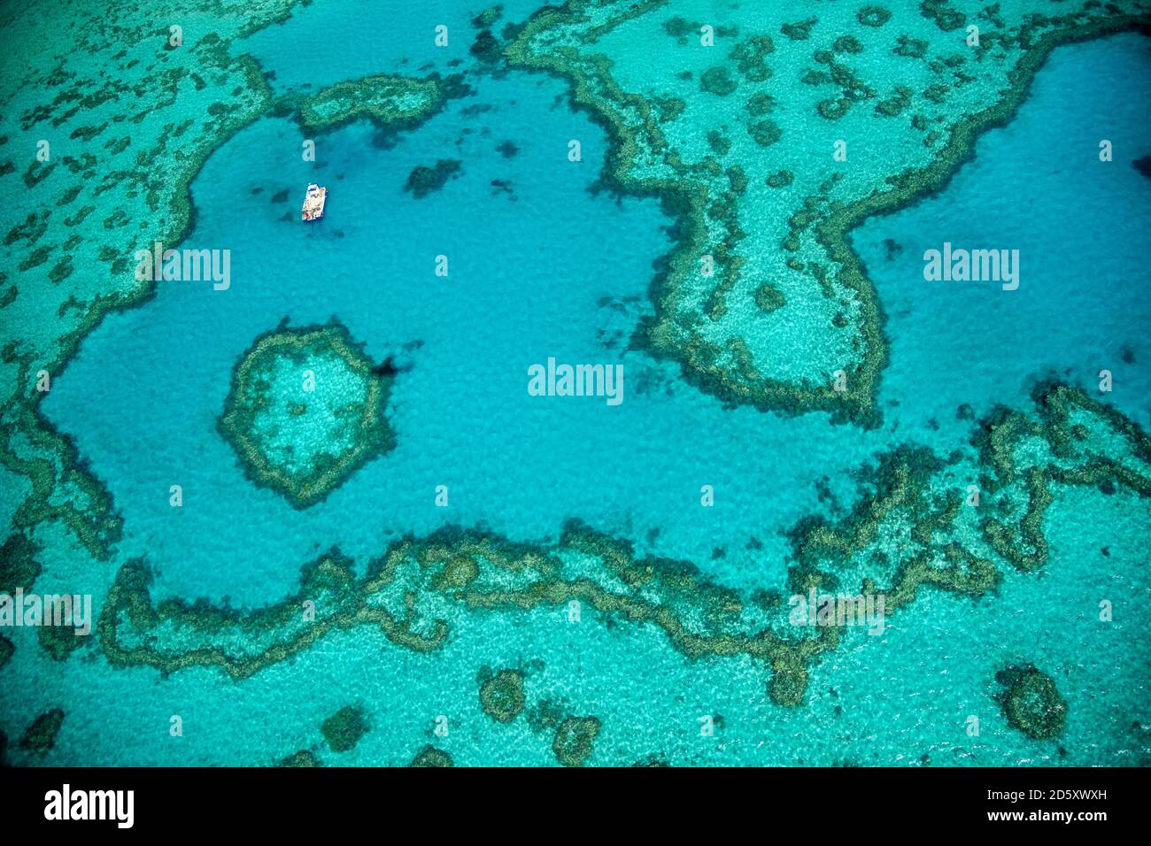 Vue aérienne de l'incroyable récif de corail du Queensland depuis l'avion. Vue sur le dessus à motifs de corail. Banque D'Images