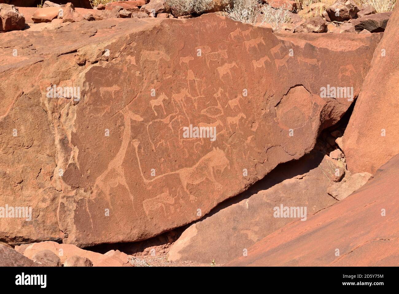 Nambia, Kunene, Damaraland, pétroglyphes dans le canyon de Twyfelfontein Banque D'Images