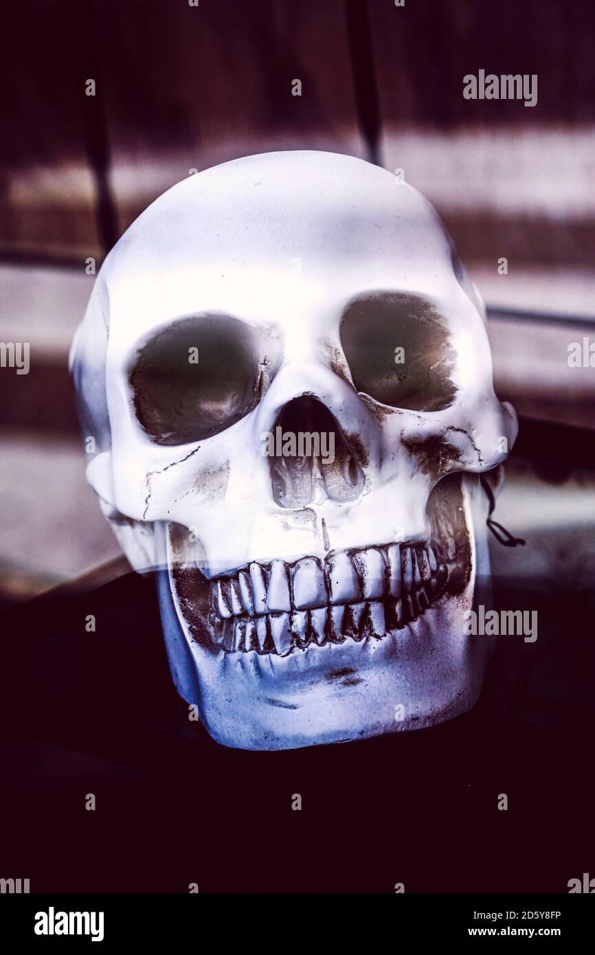 Crâne comme décoration Halloween Banque D'Images