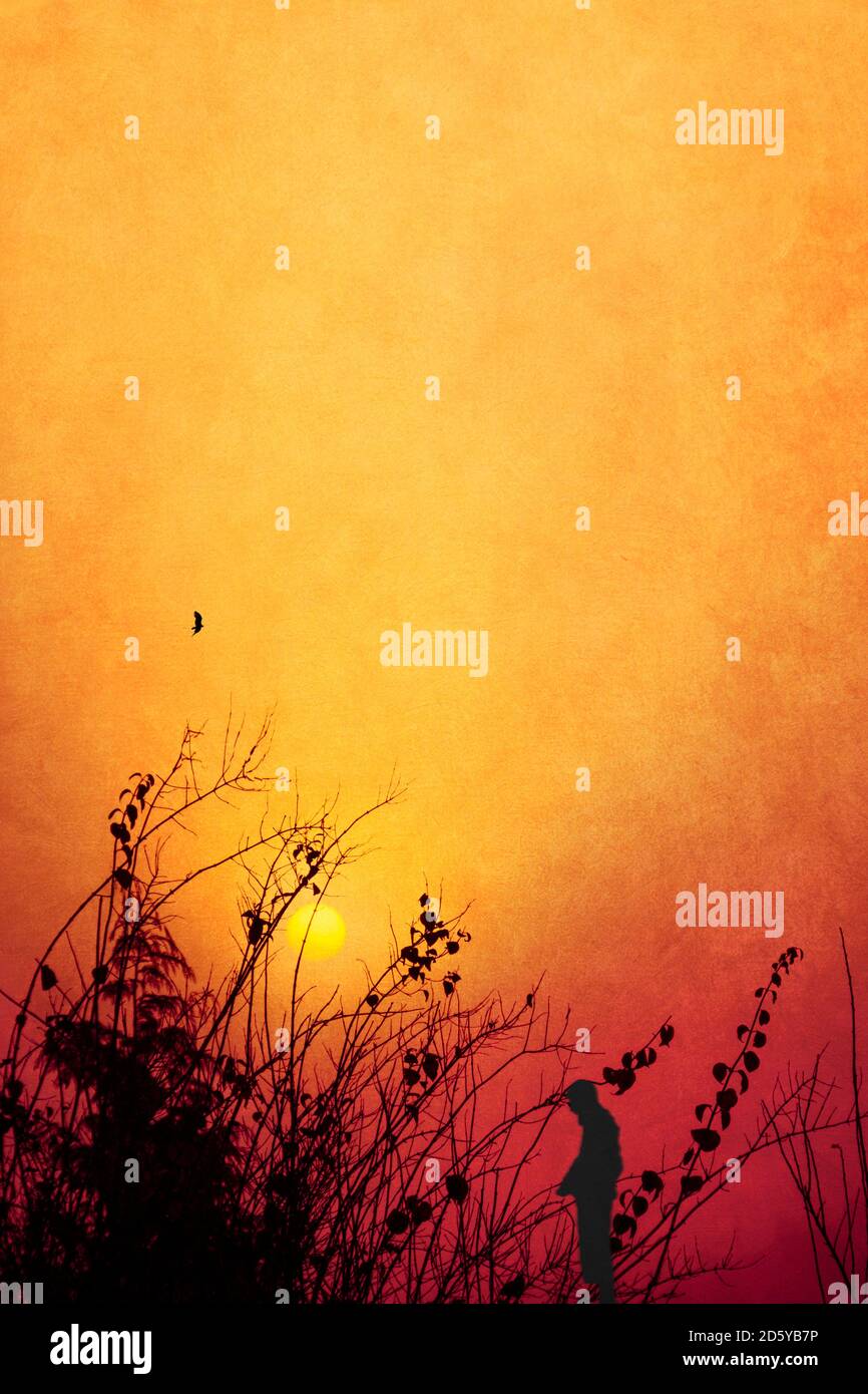 Silhouette d'un homme debout en face de ciel du matin au lever du soleil Banque D'Images