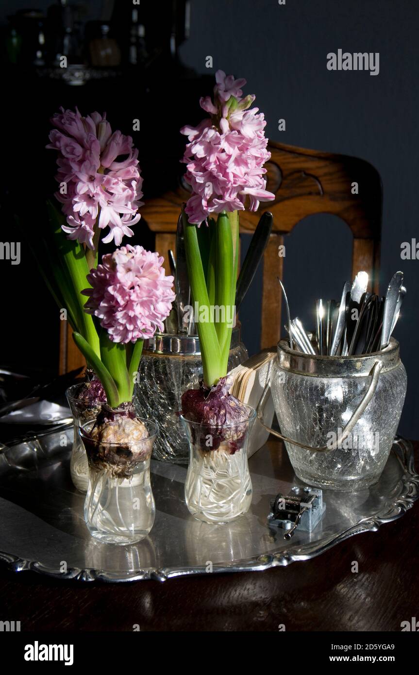 Verres anciens utilisés en pépinière Banque D'Images