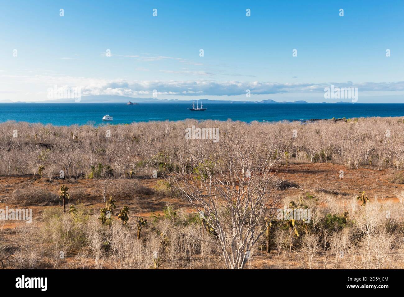 L'Équateur, Îles Galápagos, Santa Cruz, vue de la colline du dragon à la mer à saison sèche Banque D'Images