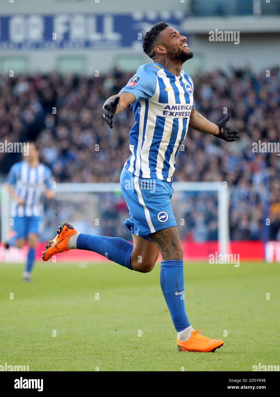 Le Jurgen Locadia de Brighton et Hove Albion célèbre les scores de ses côtés premier but du jeu Banque D'Images