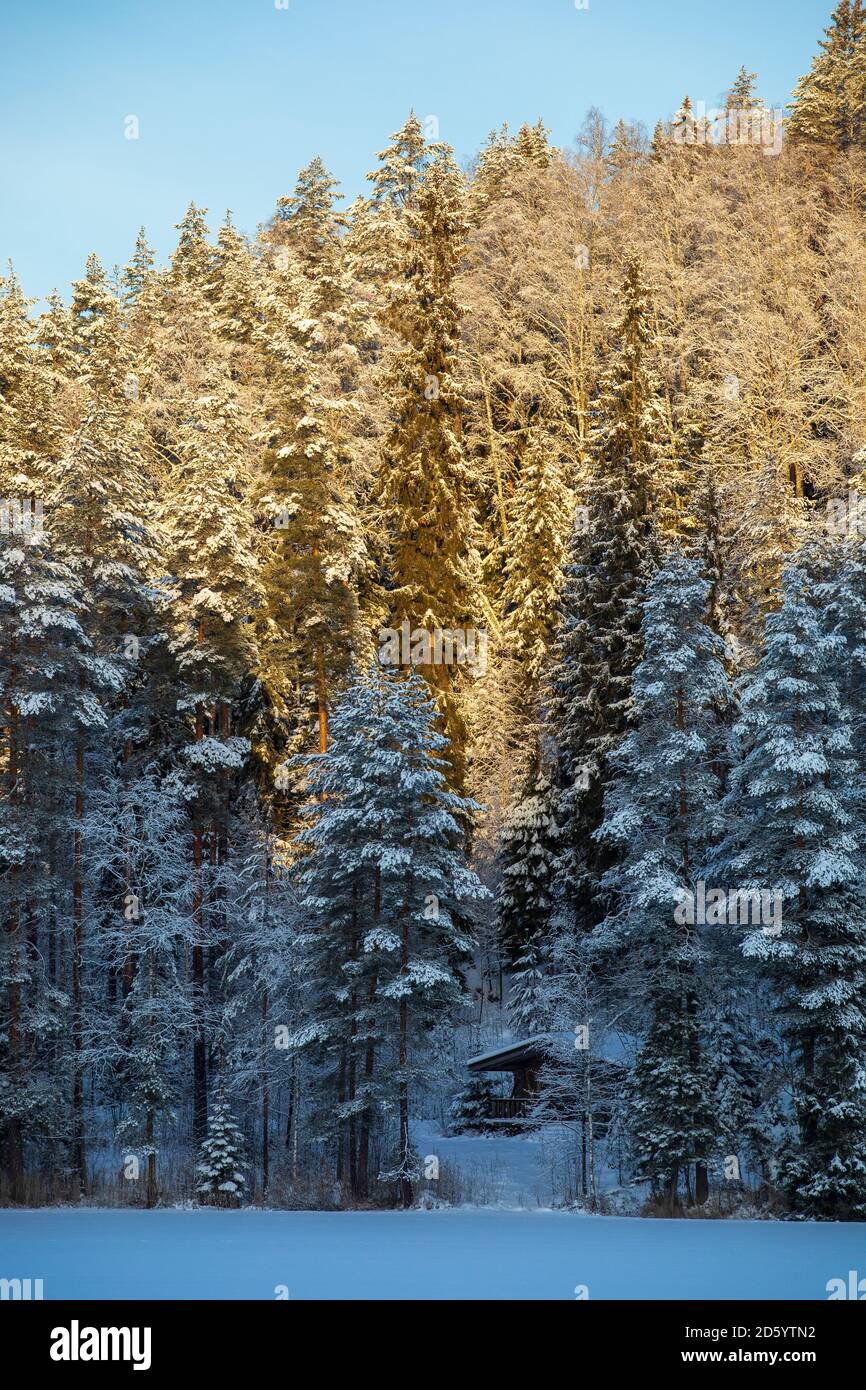 Petite hutte de sauna en bois dans la forêt au bord d'un lac gelé à Winter , Finlande Banque D'Images