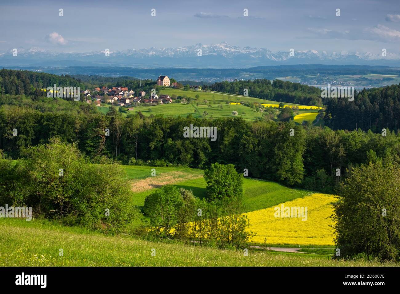 Allemagne, Bade-Wurtemberg, quartier de Constance, vue sur Bodanrueck au château Freudental, dans les Alpes suisses avec Saentis Banque D'Images