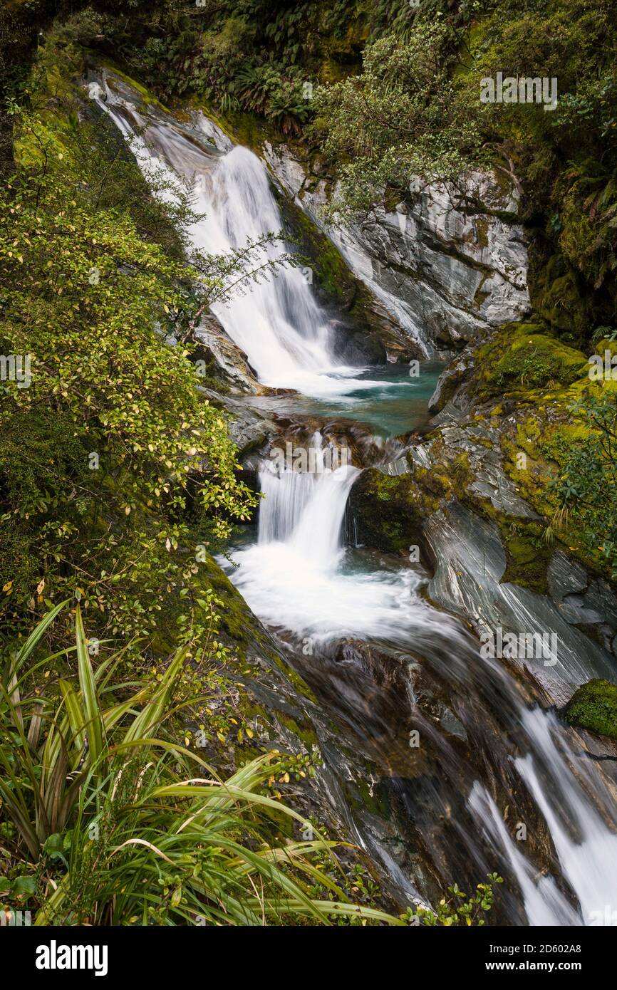 Nouvelle-Zélande, South Island, Milford Track, Milford Sound, cascade Banque D'Images