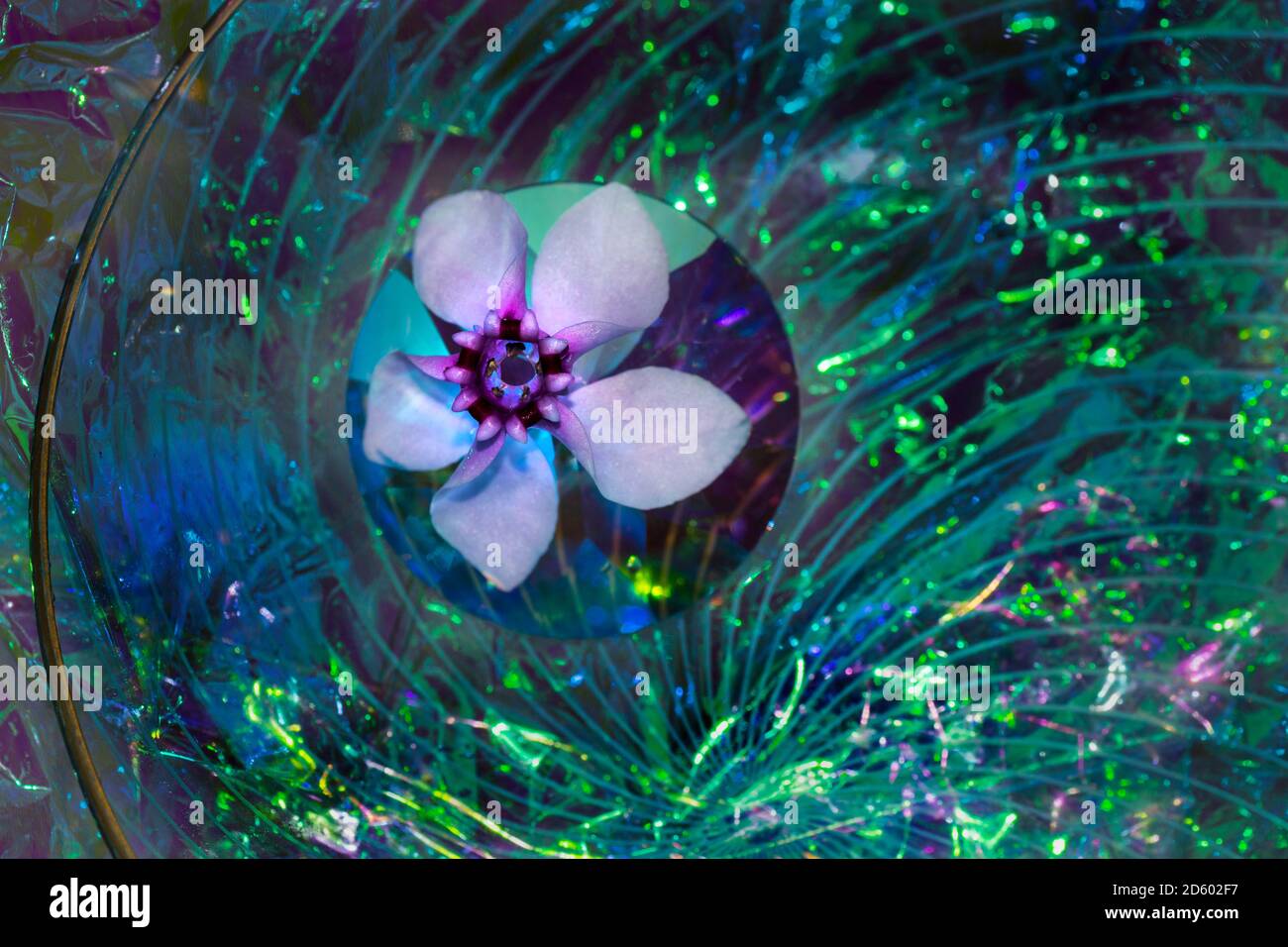 Résumé de fleur de cyclamen avec verre et cristal. La réfraction de la lumière montrant toutes les couleurs d'un arc-en-ciel Banque D'Images