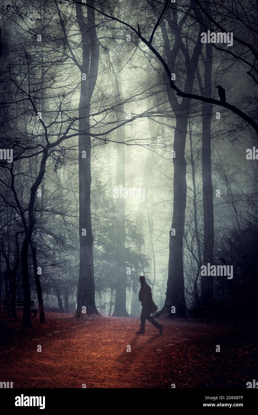 Silhouette d'homme en train de courir dans le bois Banque D'Images