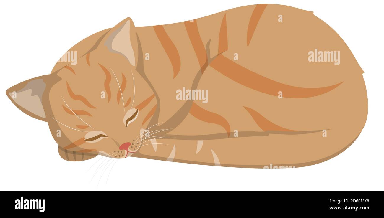 Chat endormi à tête rouge. Magnifique animal de compagnie dans le style de dessin animé. Illustration de Vecteur