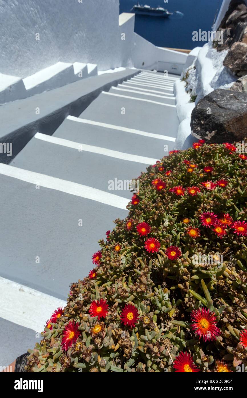 Santorini escaliers fleurs poussent sur le mur à la rue Et mer Grèce îles Banque D'Images
