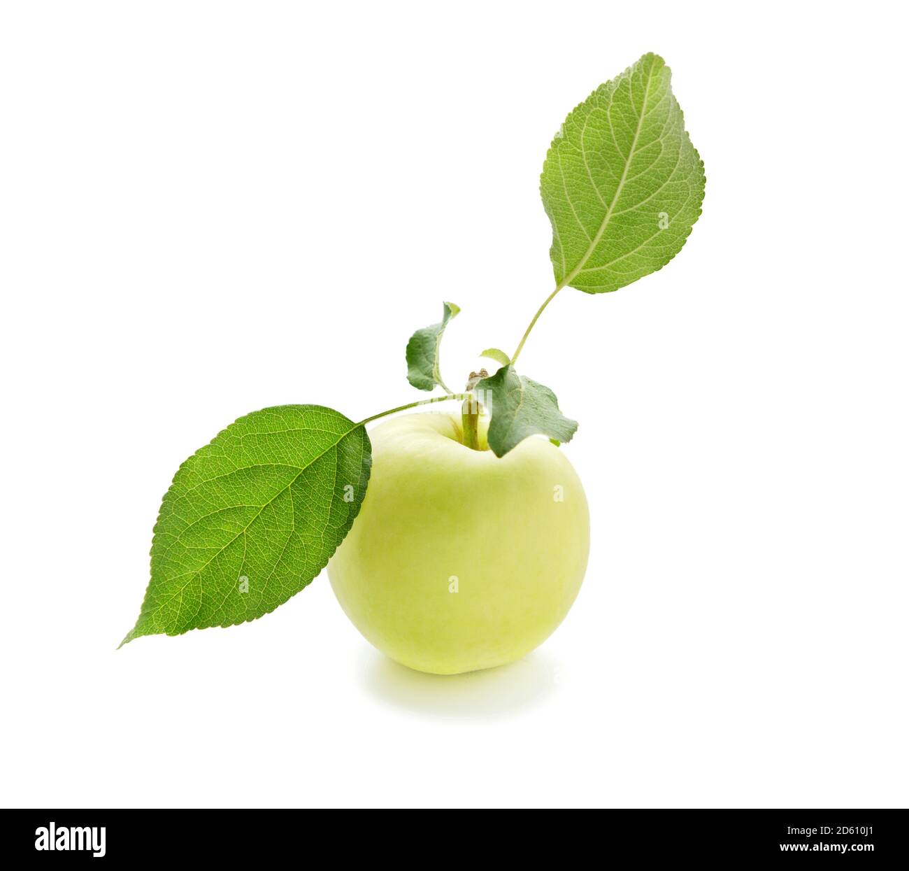 Pomme avec feuille isolée sur fond blanc. Une pomme mûre sur la branche avec des feuilles. Banque D'Images