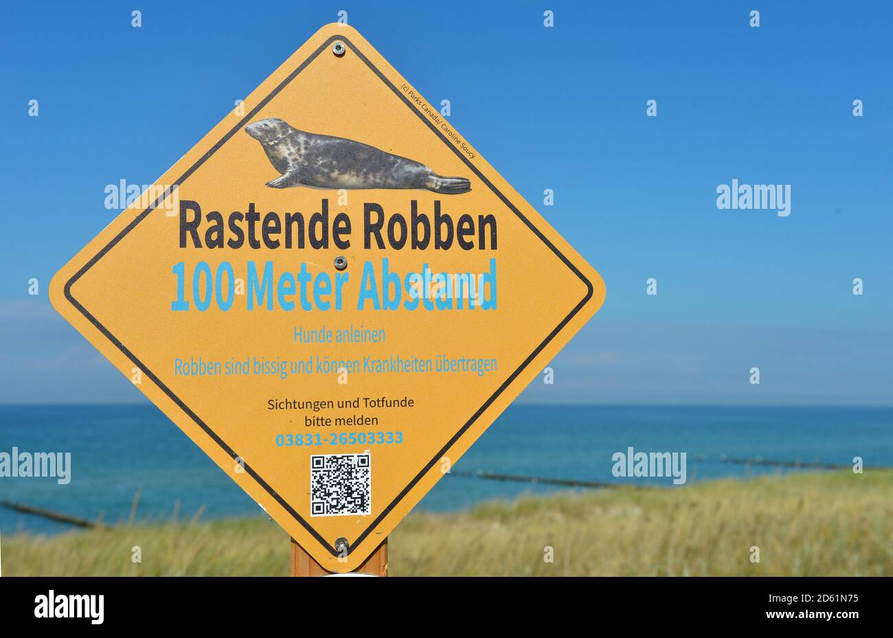 30 août 2020, Mecklembourg-Poméranie occidentale, Darß: 'Phoques de repos - 100 mètres de distance - chiens de laisse - les phoques mordre et peuvent transmettre des maladies' est écrit sur un signe à la mer Baltique sur le Darß. Photo: Volkmar Heinz/dpa-Zentralbild/ZB Banque D'Images