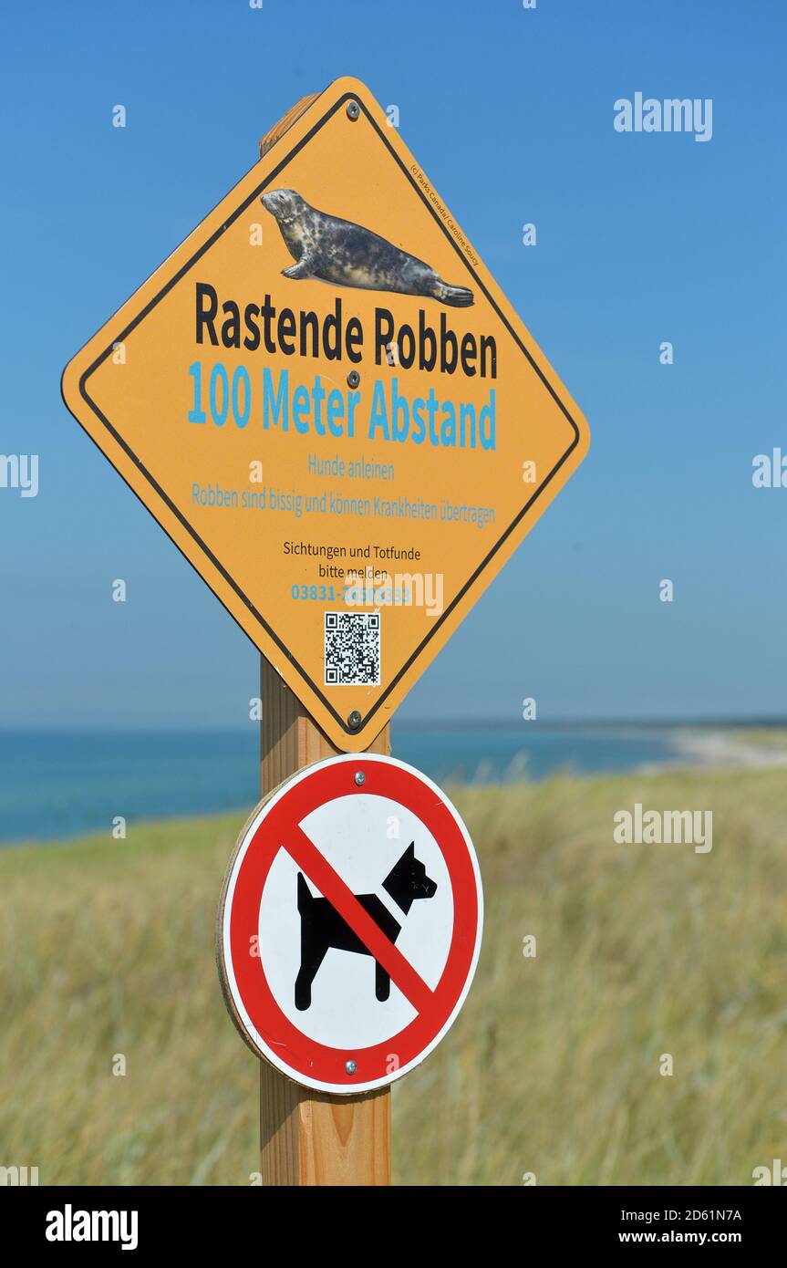 30 août 2020, Mecklembourg-Poméranie occidentale, Darß: 'Phoques de repos - 100 mètres de distance - chiens de laisse - les phoques mordre et peuvent transmettre des maladies' est écrit sur un signe à la mer Baltique sur le Darß. Photo: Volkmar Heinz/dpa-Zentralbild/ZB Banque D'Images
