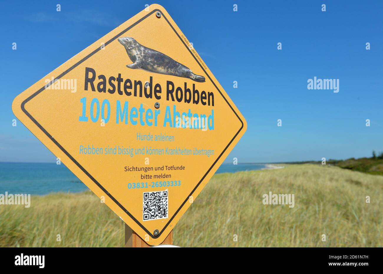 30 août 2020, Mecklembourg-Poméranie occidentale, Darß: 'Phoques de repos - 100 mètres de distance - chiens de laisse - les phoques mordre et peuvent transmettre des maladies' est écrit sur un signe à la mer Baltique sur le Darß. Photo: Volkmar Heinz/dpa-Zentralbild/ZB Banque D'Images