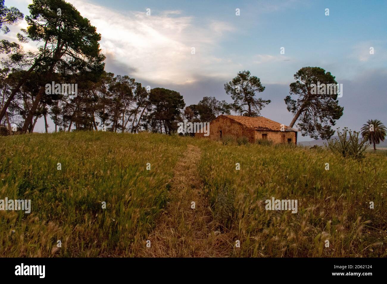 Magnifique paysage de campagne à Batna, Algérie Banque D'Images