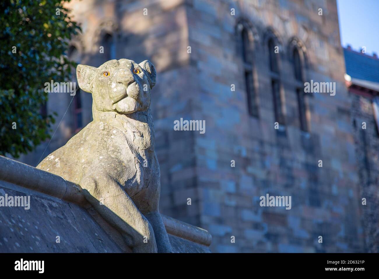 Statue de lion sur le mur des animaux près du château de Cardiff, pays de Galles Banque D'Images