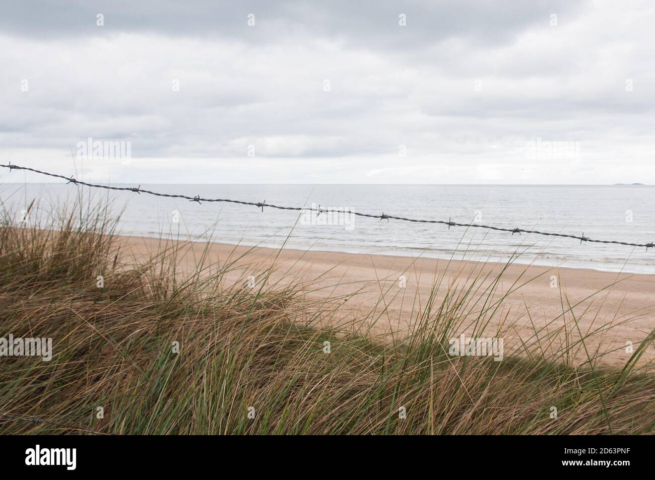 Restes de barbelés de la défense allemande. Mur Atlantique. WW2. Mur Atlantique. Normandie, France Banque D'Images