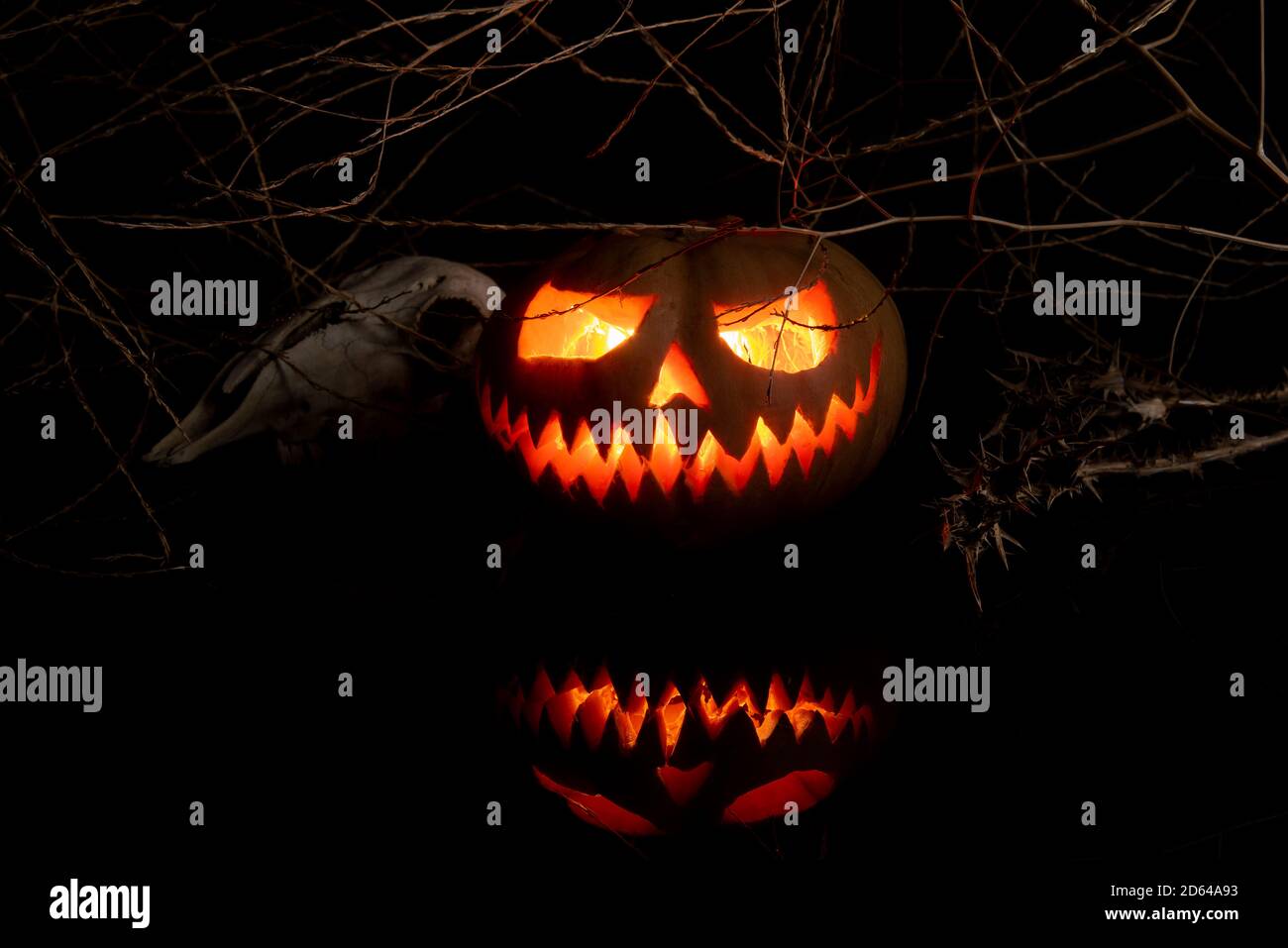 Citrouille sculptée extraite de la légende de la lanterne Jack O. D'Halloween et d'horreur fantôme d'automne Banque D'Images