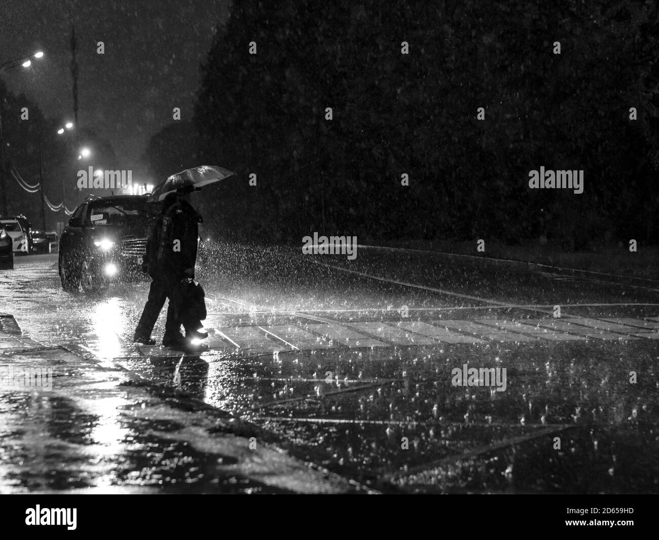 Vue sur une traversée piétonne de la ville la nuit pendant une lourde averse. Silhouettes de personnes avec parasols dans les phares de la voiture. Personnes Banque D'Images