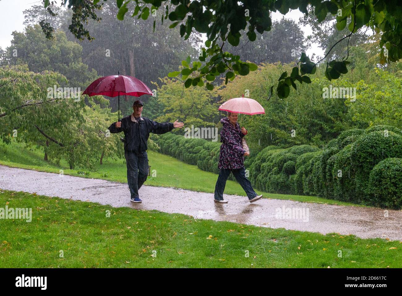 Couple sous la pluie avec parasols, il danse sous la pluie Banque D'Images