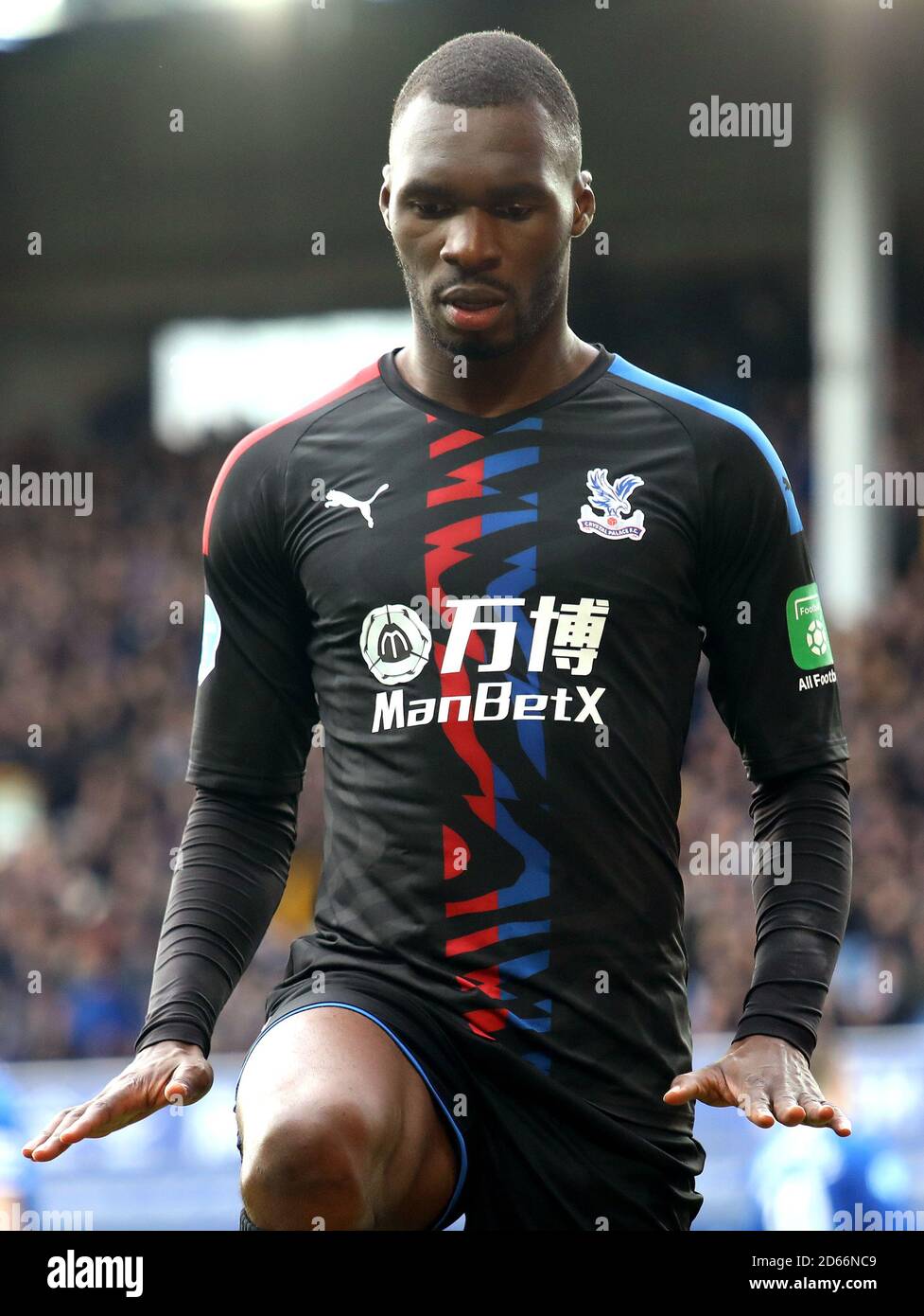 Christian Benteke du Crystal Palace célèbre avoir marqué le premier but du jeu de son côté Banque D'Images