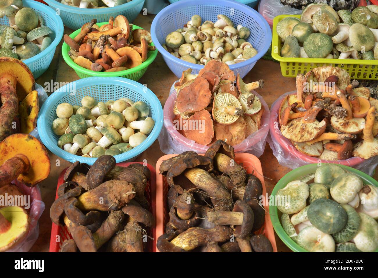 différents types de champignons frais dans le panier à vendre sur le marché Banque D'Images
